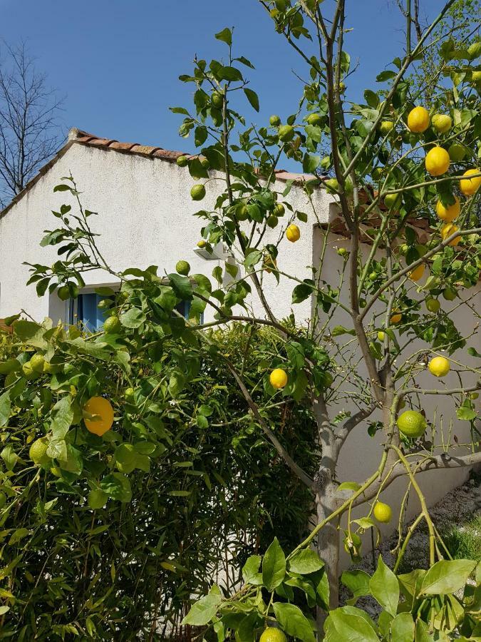 Bed and Breakfast Le Mas De La Calade Aix-en-Provence Exteriér fotografie